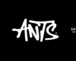 Ants