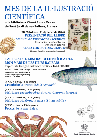 Mol·luscs bivalves | Scientific illustration workshop