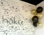 Espacio hōkū