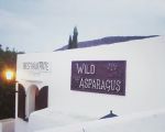 The Wild Asparagus